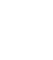 global access port icon
