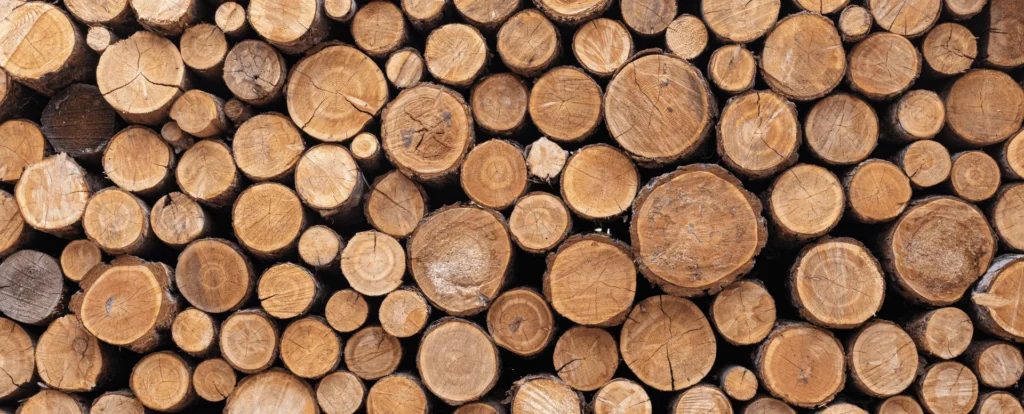 Stacked ends of wooden logs