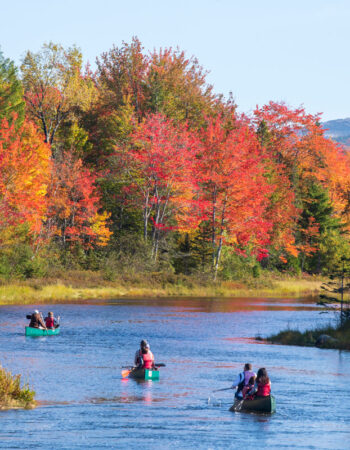 Three groups of people in canoes in the fall